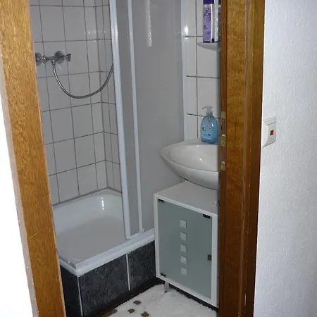 An Der Faehre Sankt Goar