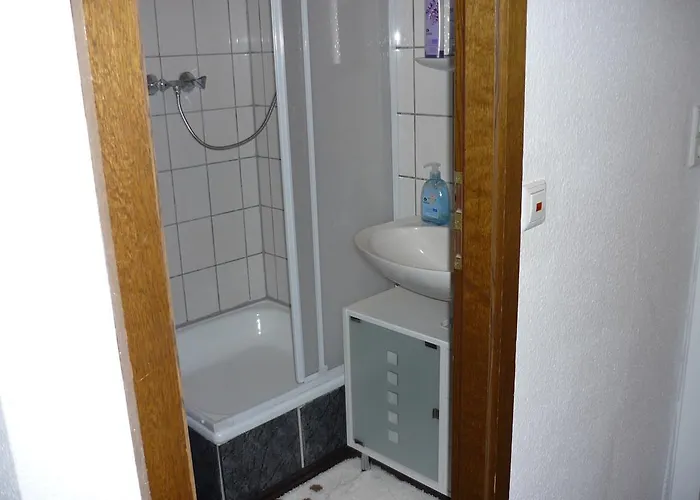 An Der Faehre Sankt Goar